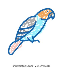 parrot bird pet doodle icon sketch vector. parrot bird pet sign. isolated symbol illustration