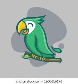 parrot bird pet illustration vector