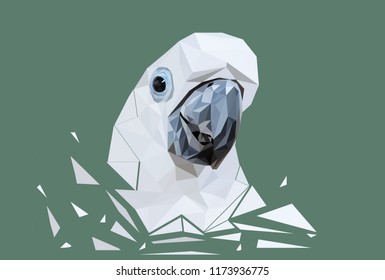 Parrot  bird polygon is isolated with green background , animal wildlife concept.geometric and triangle shape, low poly modelling effect, vector art and illustration. head of parrot.