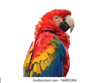 Parrot bird polygon style
