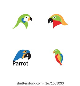 Parrot bird set image logo vector 