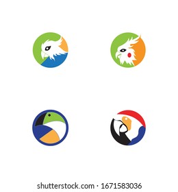 Parrot bird set image logo vector 