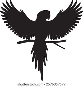 Parrot Bird silhouette black isolated on white background