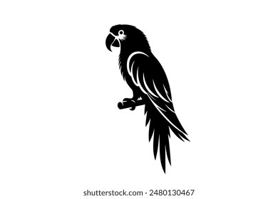Parrot bird silhouette vector design