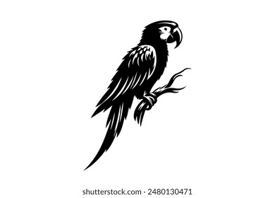 Papageienvogel Silhouette Vektorgrafik Design