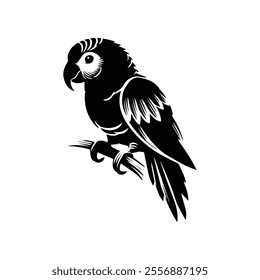 Parrot bird silhouette vector design