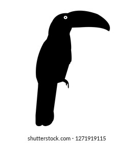 Parrot Bird silhouette vector icon eps