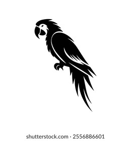 Parrot bird silhouette vector illustration on white background.
