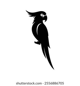 Parrot bird silhouette vector illustration on white background.
