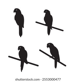 Parrot Bird silhouette vector Style with white background