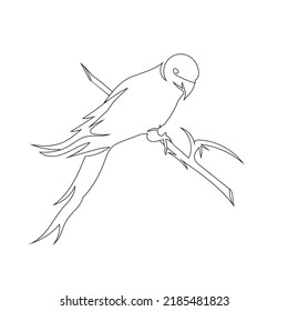 Parrot bird stand line art drawing style, The bird sketch black linear isolated on white background, And the best parrot bird vector illustration