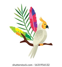 parrot bird in tree branch isolated icon vector illustration design