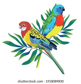 Parrot bird with tropical leaves rint summer vector illustration