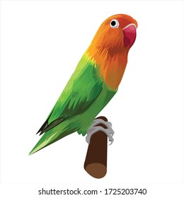 Parrot Bird Vector Design Illustration