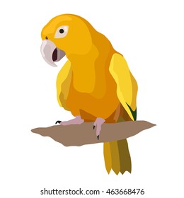 Parrot Bird Vector Illustration for your cute design.