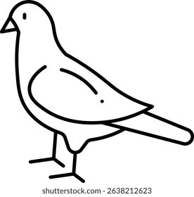 Parrot bird vector, line icon, design 