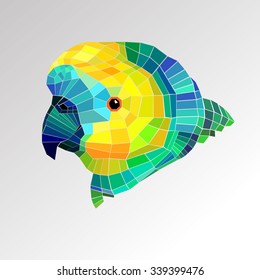parrot bird vector tropical colorful portrait beak