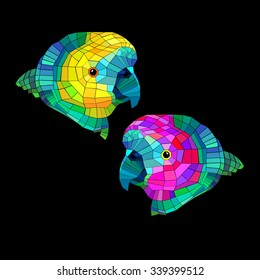 parrot bird vector tropical colorful portrait beak