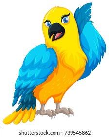 Parrot bird with yellow and blue feather illustration