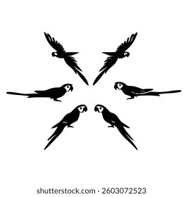 parrot Birds icon, vector best flat icon. black and white