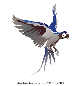 parrot birds vector