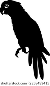 Parrot Black Silhouette Vector Illustration
