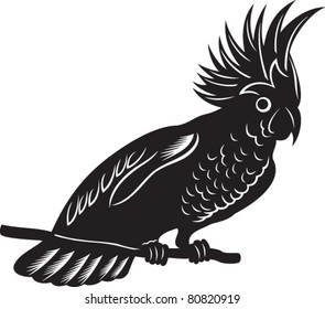 parrot, black and white style