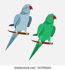 parrot blue and green