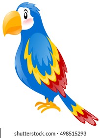Parrot with blue wings illustration