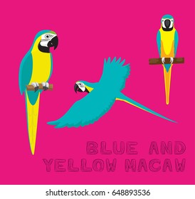 Parrot Blue and Yellow Macaw Cartoon Vector Illustration