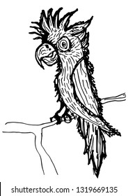 parrot in the branch illustration - vector