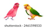 Parrot with bright colorful feathers. Cartoon vector illustration set of cute tropical birds standing. Exotic jungle pink, yellow and green birdie with beak and wings. Wild cheerful animal mascot.