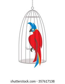 Parrot in cage - vector illustration.