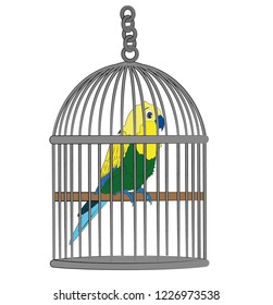 Parrot in the cage. Vector illustration of a Parrot in the cage isolated on white background