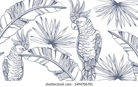 Parrot card Vector line art . Exotic palm leaves decors. Summer party background