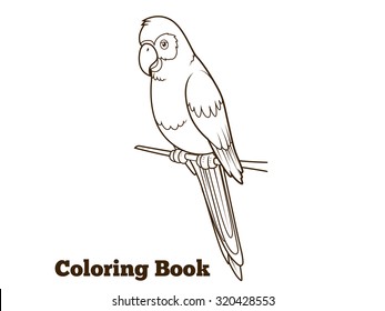 Ilustración vectorial del libro de dibujos animados de loros