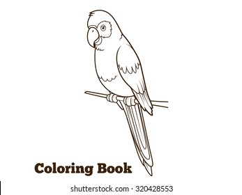 Parrot cartoon coloring book vector illustration