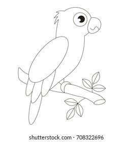 Parrot cartoon. Outlined illustration with thin line black stroke