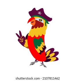 Parrot Cartoon Pirate Character Design Art