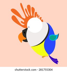parrot cartoon vector