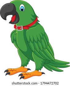 Parrot cartoon vector art and illustration