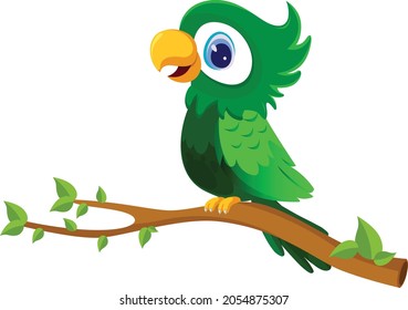 Parrot cartoon vector art and illustration