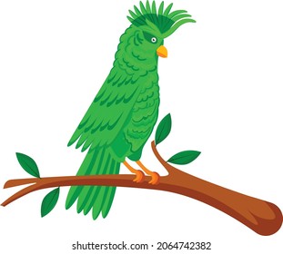 Parrot cartoon vector art and illustration