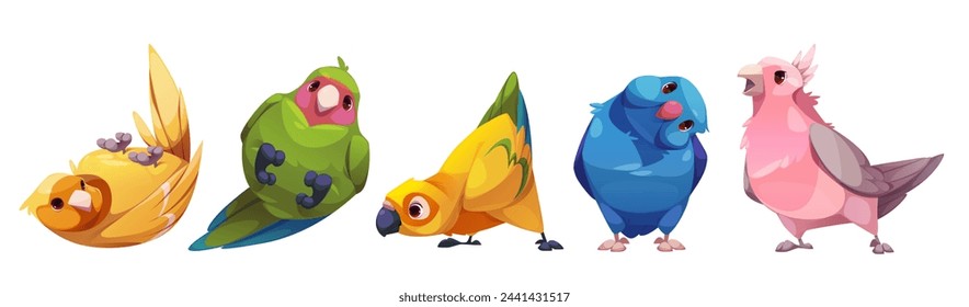 Parrot characters with beak, wing and tales with multicolored feathers standing and laying. Cartoon vector set of cute funny different colorful friendly exotic bird species. Tropical animals and pets.