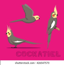 Parrot Cockatiel Cartoon Vector Illustration