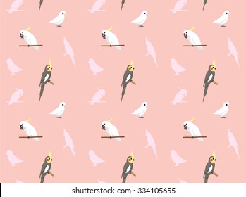 Parrot Cockatiel Corella Cockatoo Wallpaper