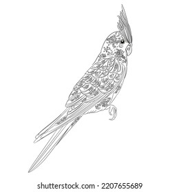 Parrot Cockatiel   with ornaments  outline vector 