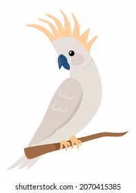 Parrot cockatiel sits on a branch in the rainforest. Vector illustration in flat style  isolated on background