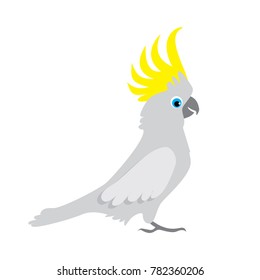 Parrot cockatoo. Australian bird cartoon illustration. Vector image.