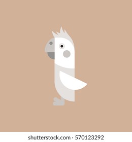 Parrot Cockatoo, Parrot bird